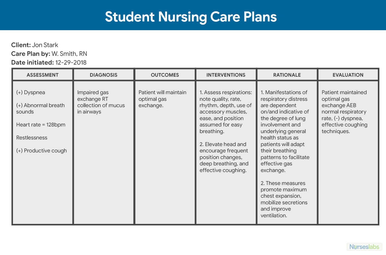 001 Nursing Care Plan Template Ideas Student Plansncp Within Nursing Care Plan Template Word