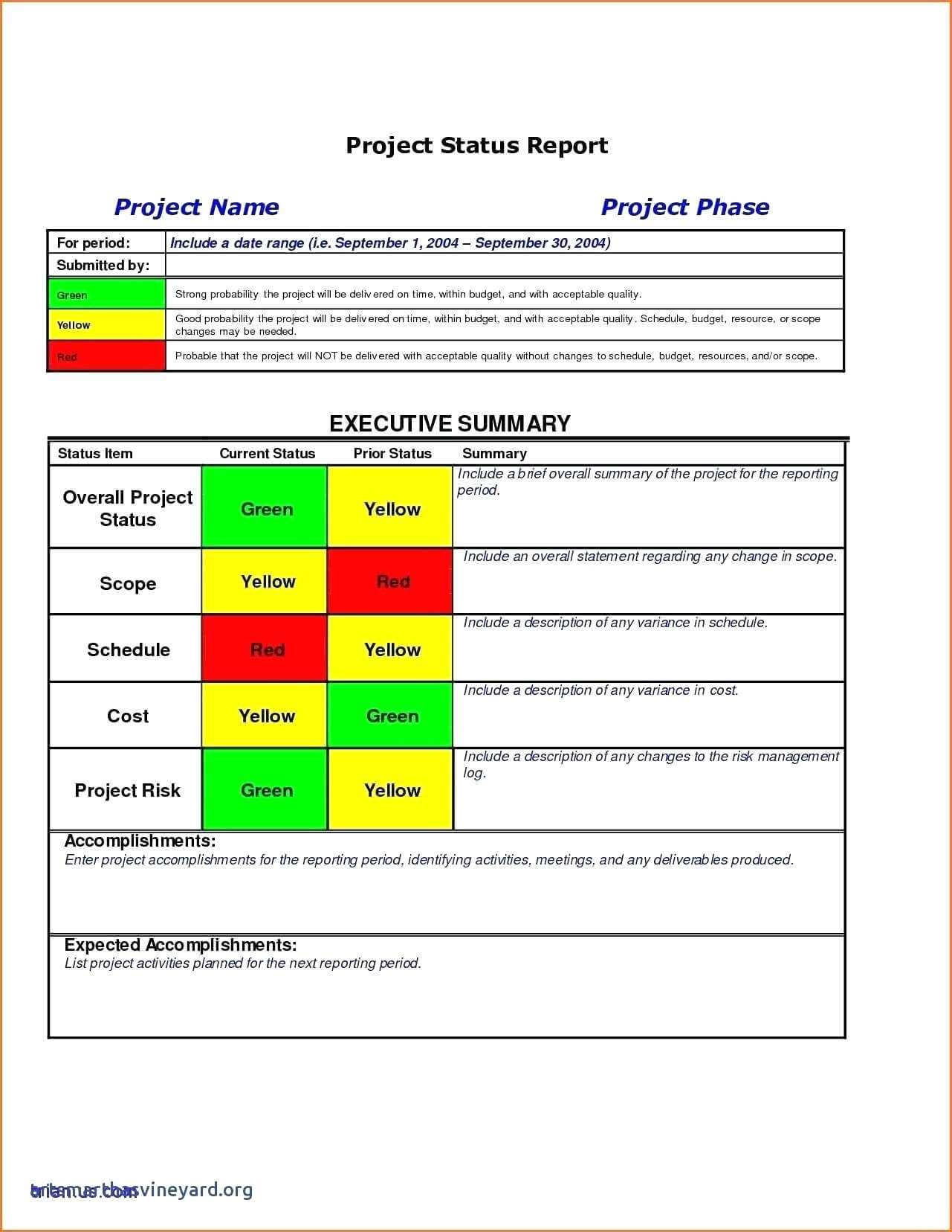 010 Template Ideas Project Management Executive Summary For Executive Summary Project Status Report Template