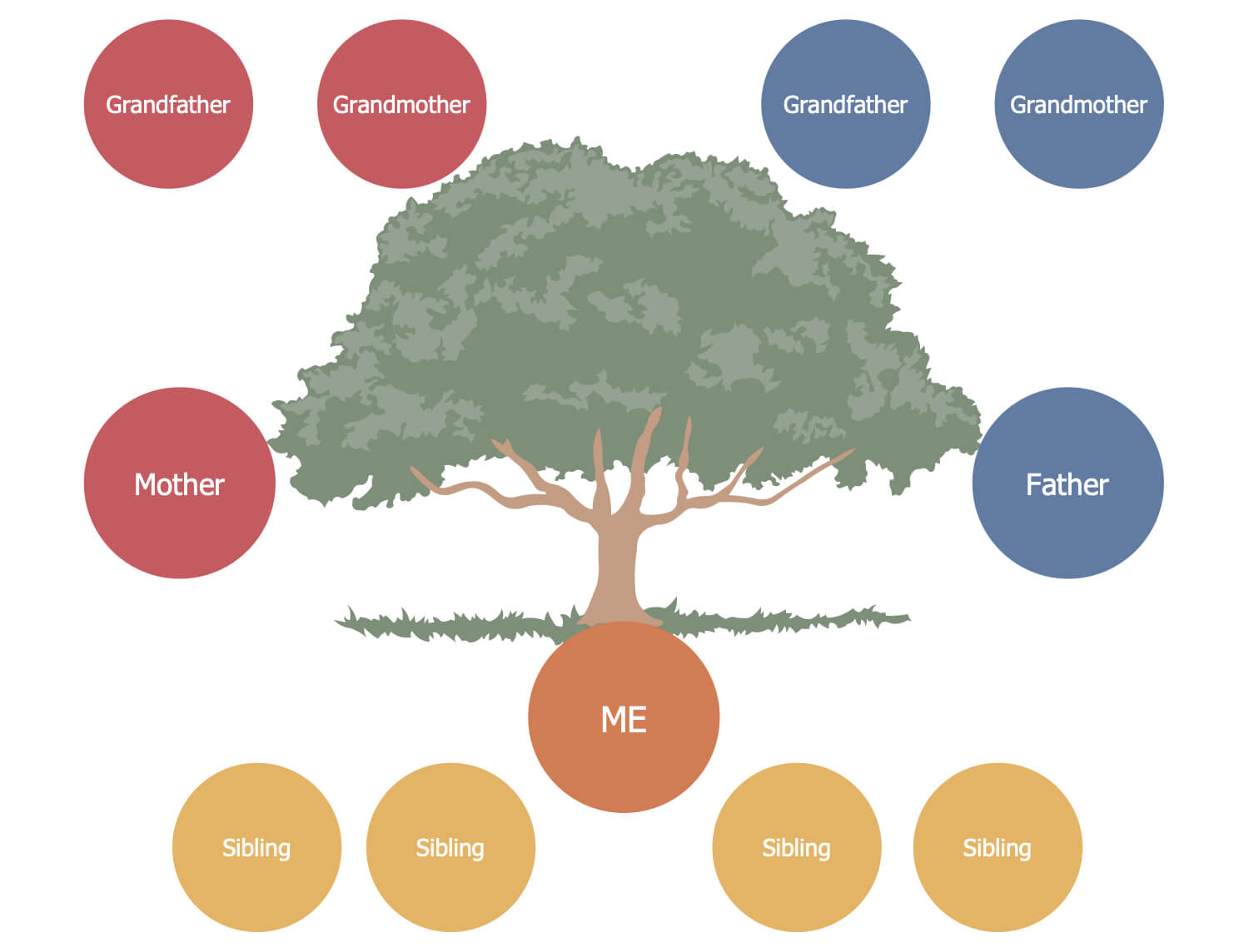 021 Diagrams Family Tree Template Simple Breathtaking Ideas In 3 Generation Family Tree Template Word