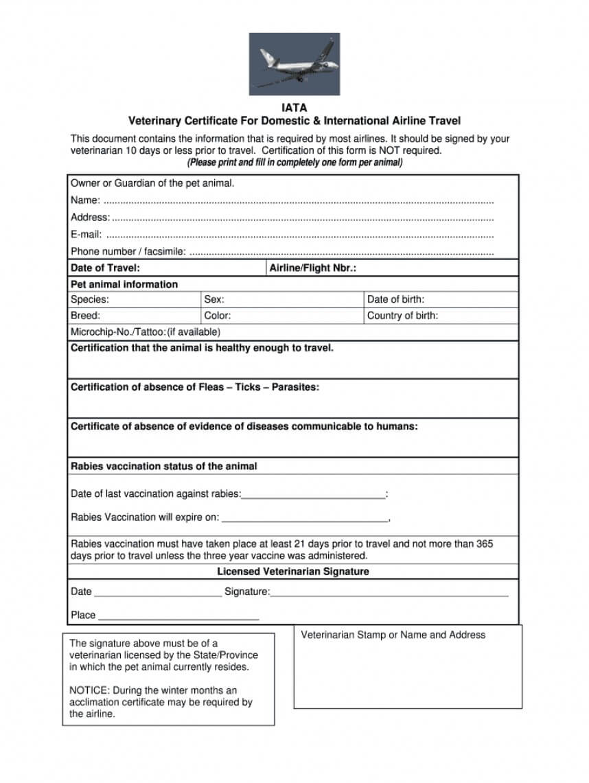 024 Template Ideas Pet Health Stirring Certificate Printable Pertaining To Rabies Vaccine Certificate Template