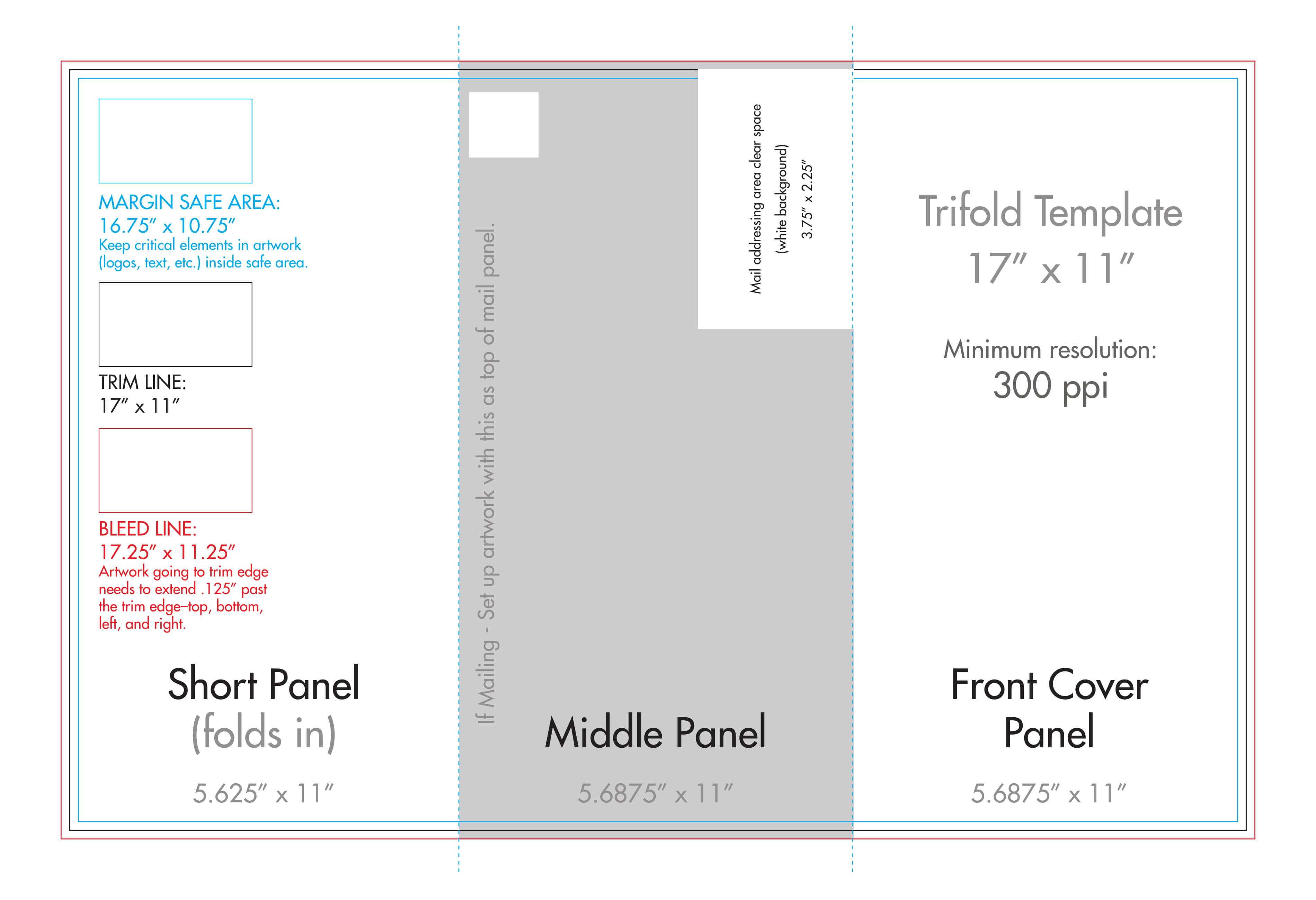 11X17 Brochure Template