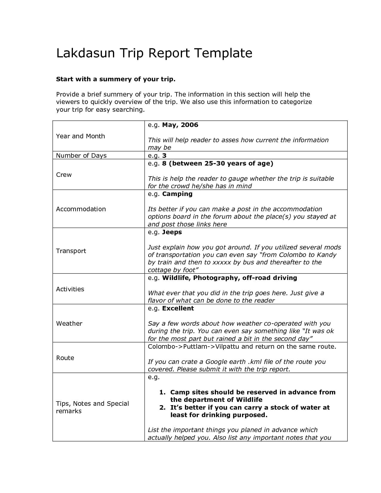 16 Business Travel Report Template Images – Sample Business Throughout Business Trip Report Template