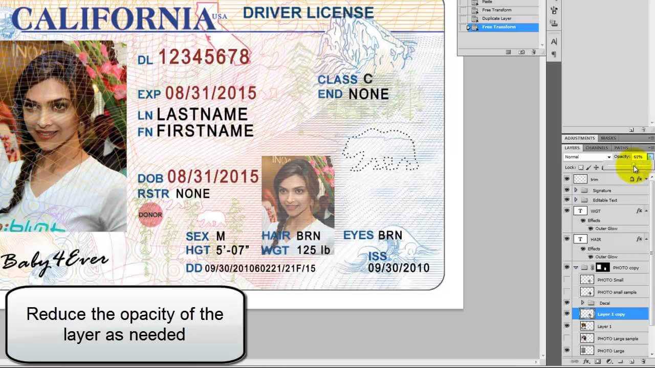 26 Images Of Georgia Identification Card Template Regarding Georgia Id Card Template