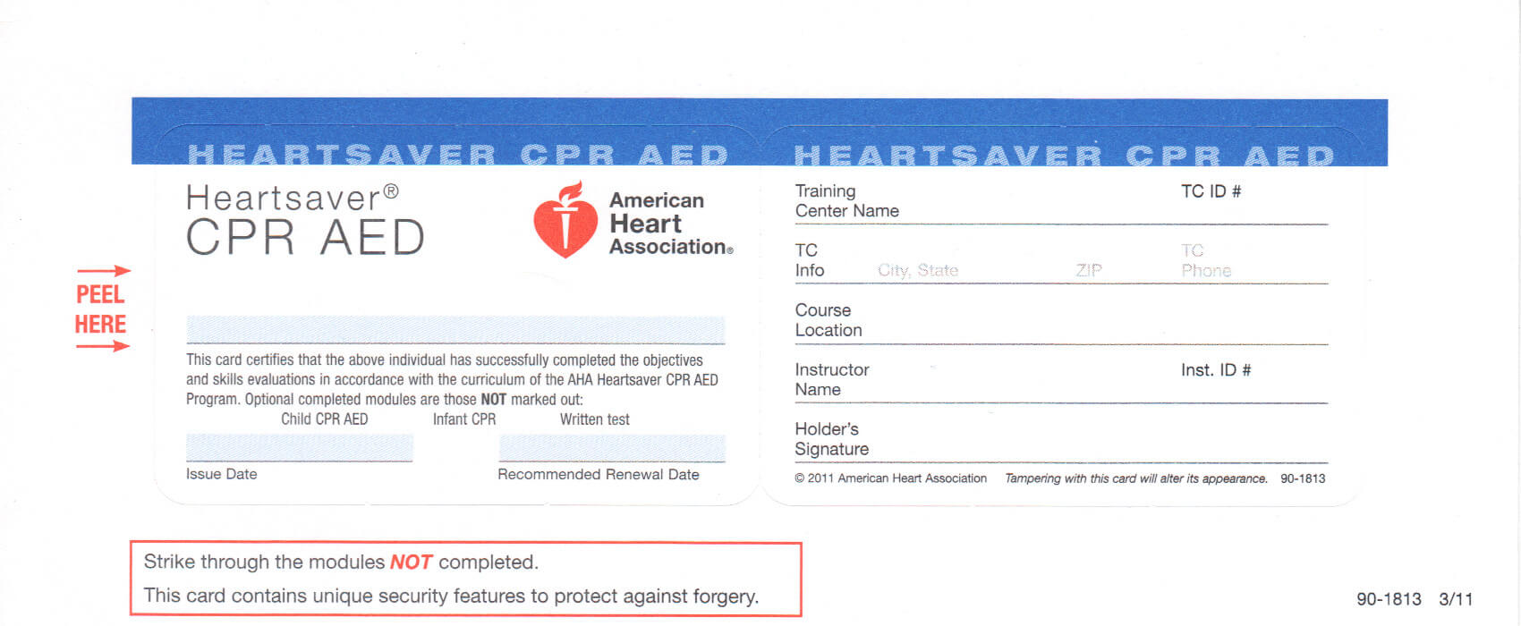 27 Images Of Bls Blank Template | Zeept Pertaining To Cpr Card Template