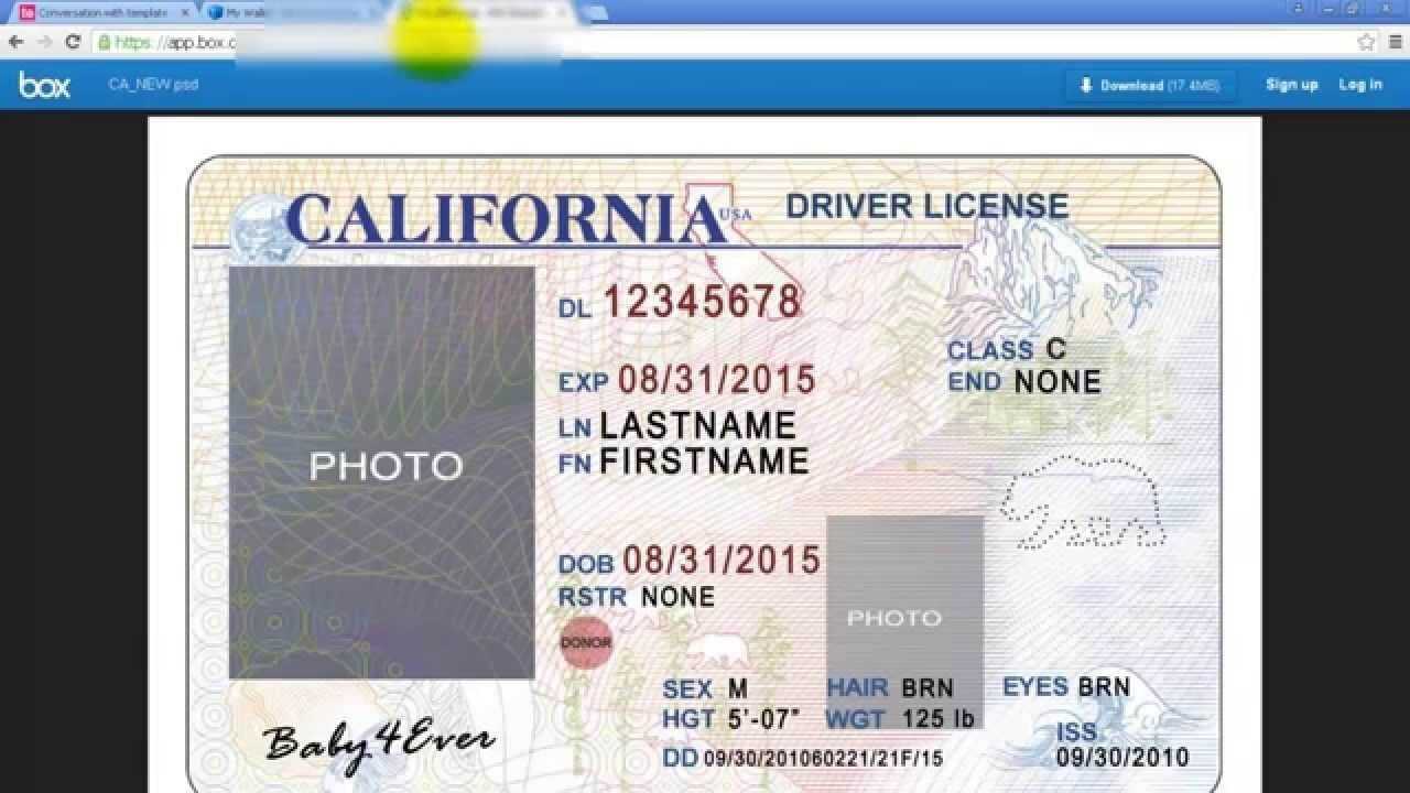 28 Drivers License Template Free | Robertbathurst Within Blank Drivers License Template