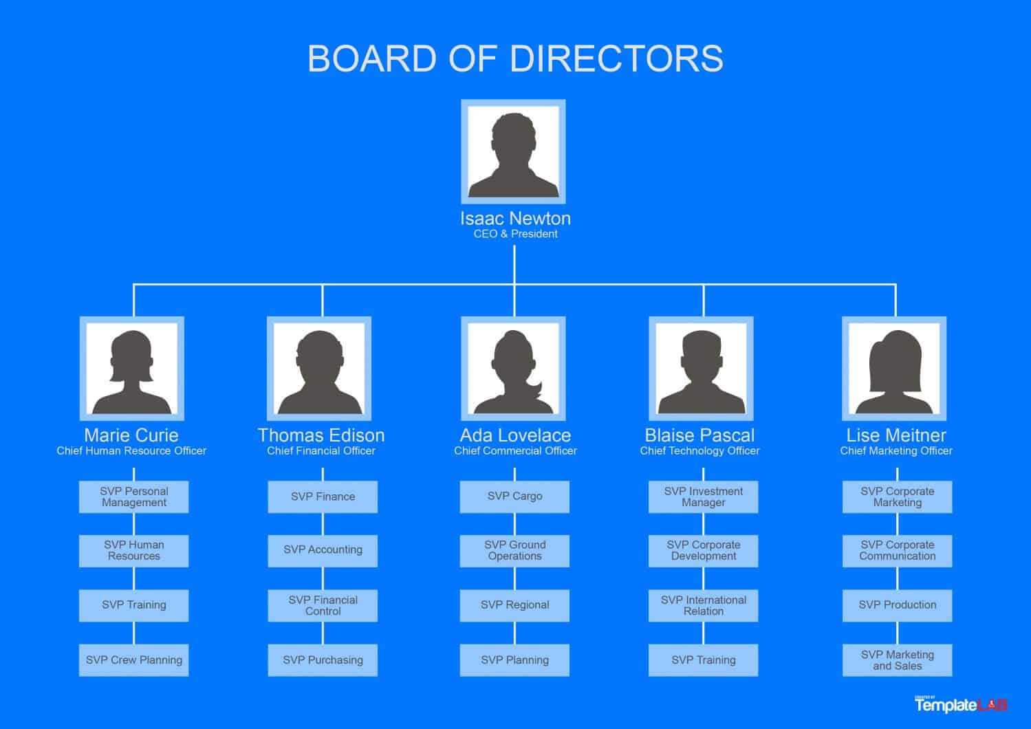 40 Organizational Chart Templates (Word, Excel, Powerpoint) Regarding Company Organogram Template Word