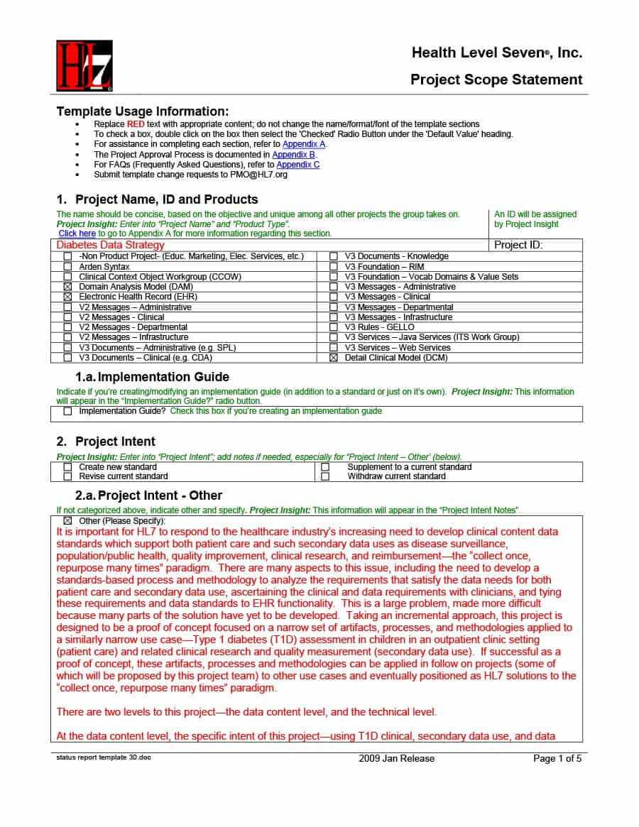 40+ Project Status Report Templates [Word, Excel, Ppt] ᐅ Pertaining To Implementation Report Template