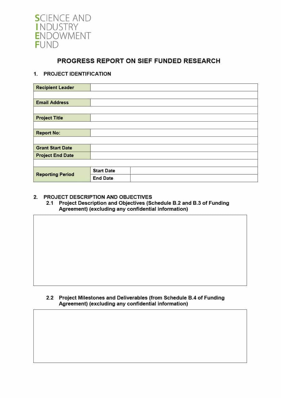 40+ Project Status Report Templates [Word, Excel, Ppt] ᐅ Within Research Project Progress Report Template