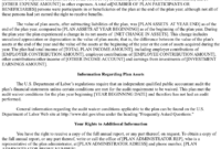 401K Summary Annual Report: Everything You Need To Know with Summary Annual Report Template