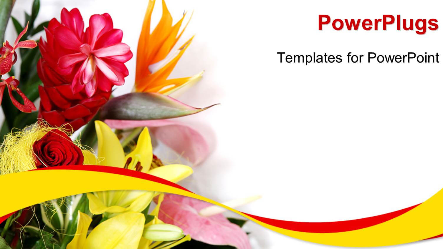 greeting-card-template-powerpoint
