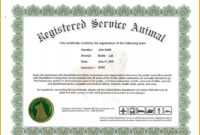 6 Unique Free Printable Service Dog Id Card Template For The in Service Dog Certificate Template