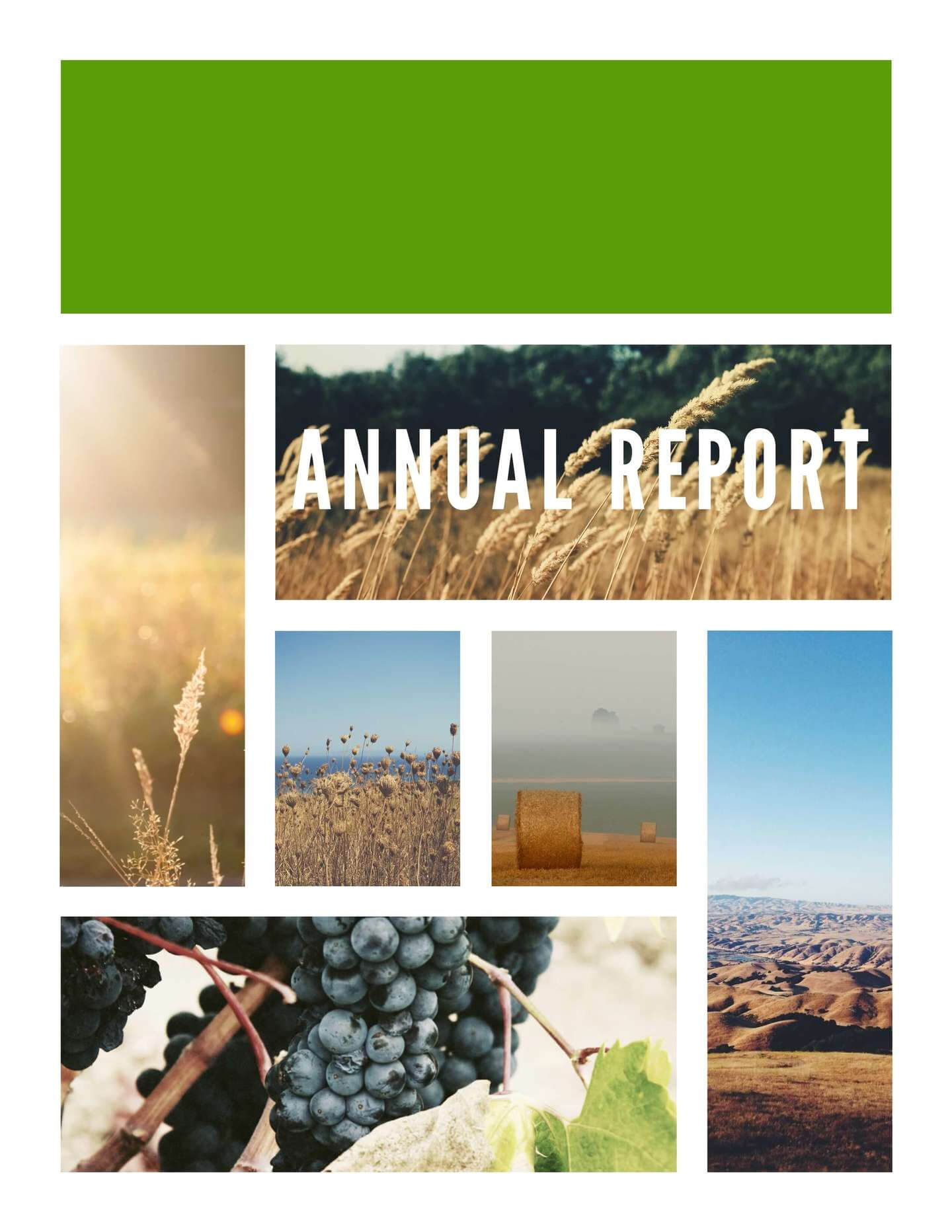 9 Free Report Templates & Examples – Lucidpress Intended For Best Report Format Template