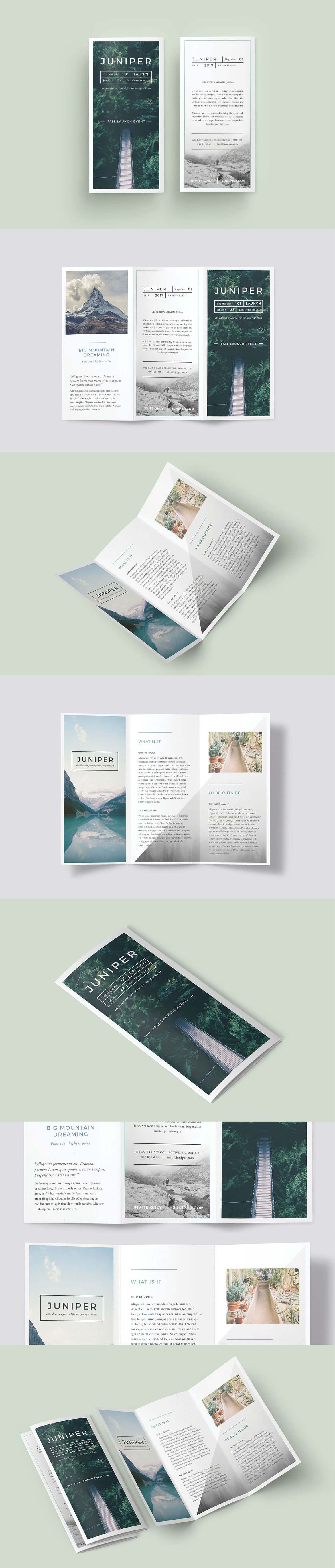 A Beautiful Multipurpose Tri Fold Dl Brochure Template Pertaining To Tri Fold Brochure Template Indesign Free Download