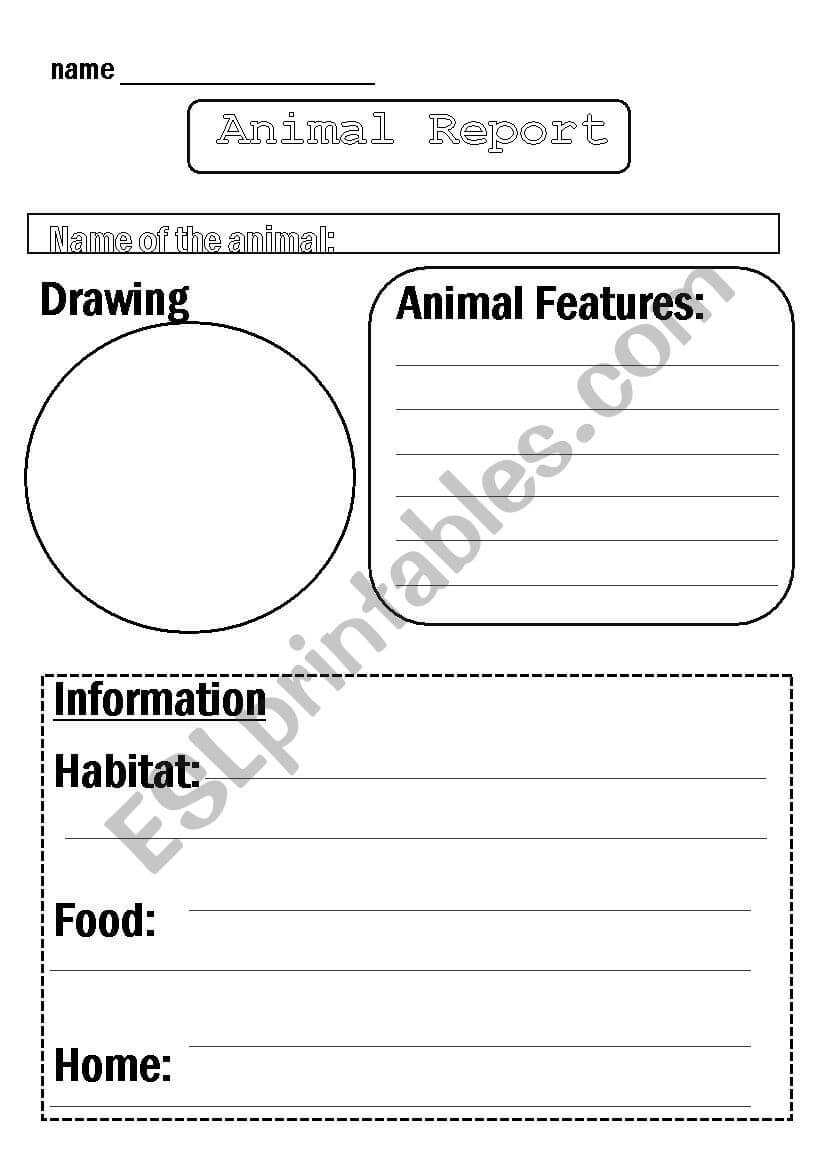 Animal Report Template – Esl Worksheetflora.m123 Regarding Animal Report Template