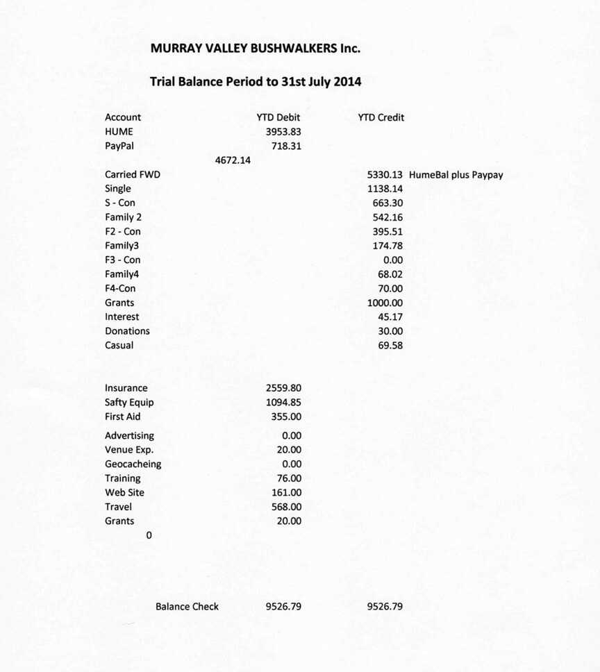 Annual General Meeting #3 Aug 10 2014 In Treasurer's Report Agm Template