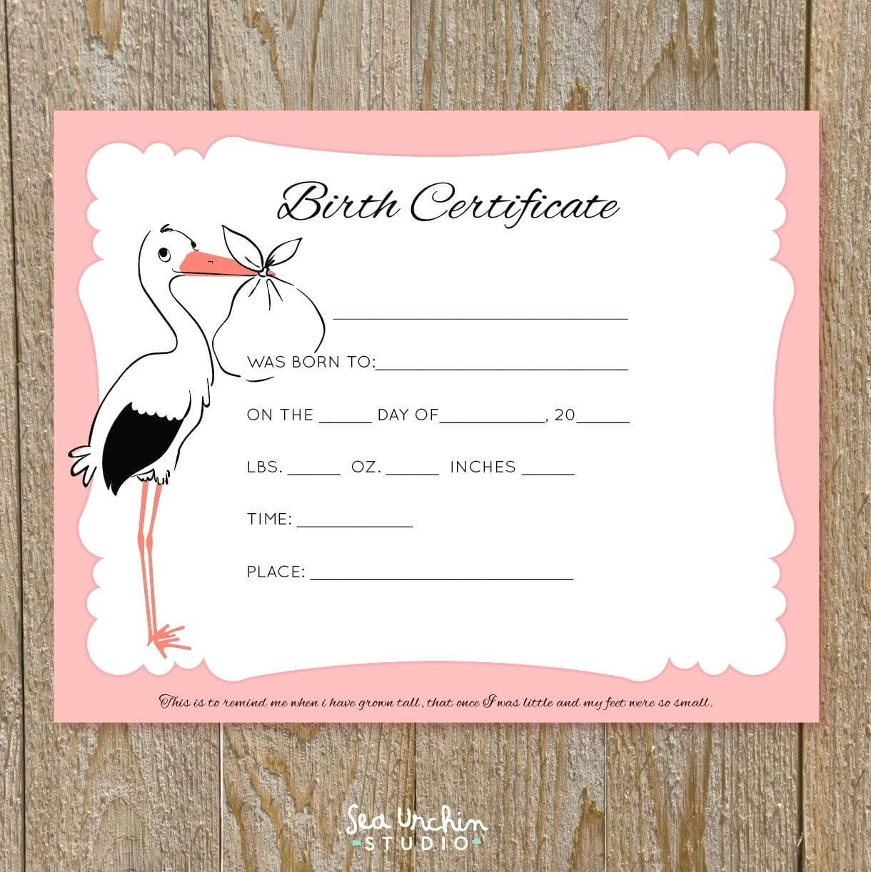 Baby Doll Birth Certificate Template Or With Free Printable Regarding Baby Doll Birth Certificate Template