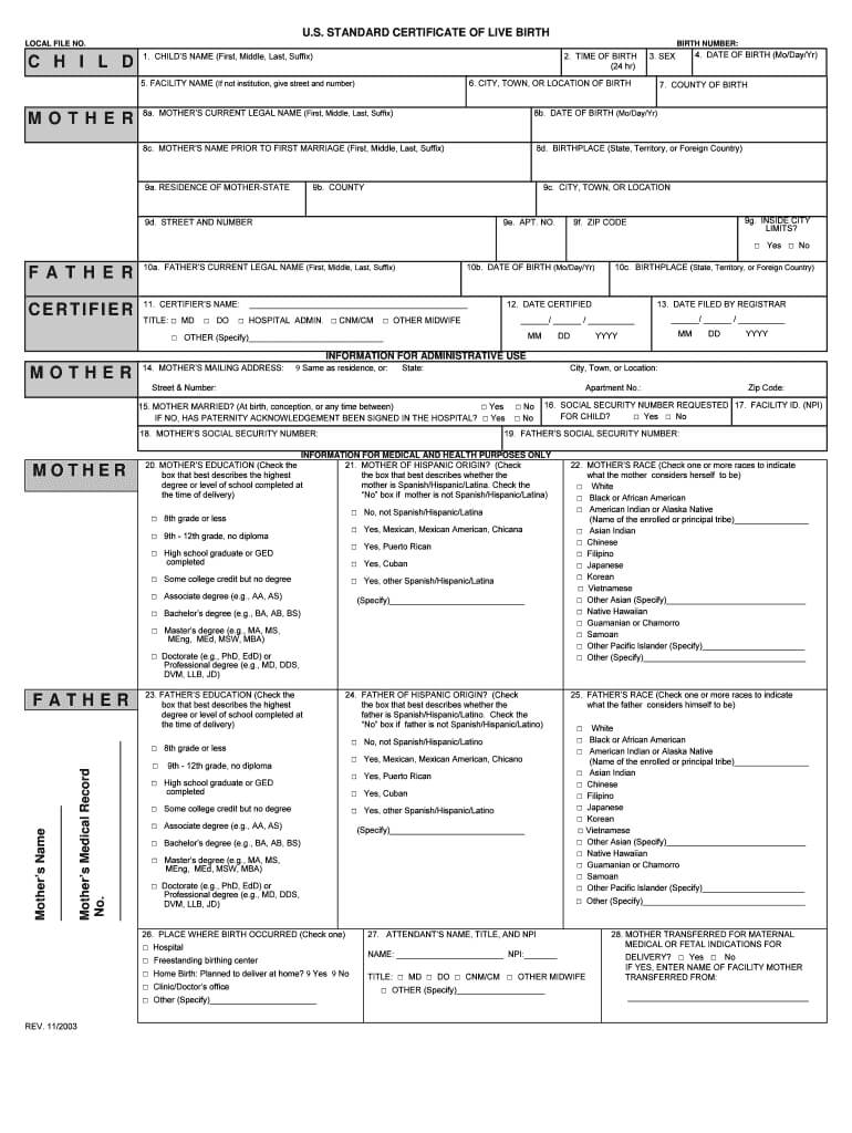 Birth Certificate Generator – Fill Online, Printable Throughout Editable Birth Certificate Template