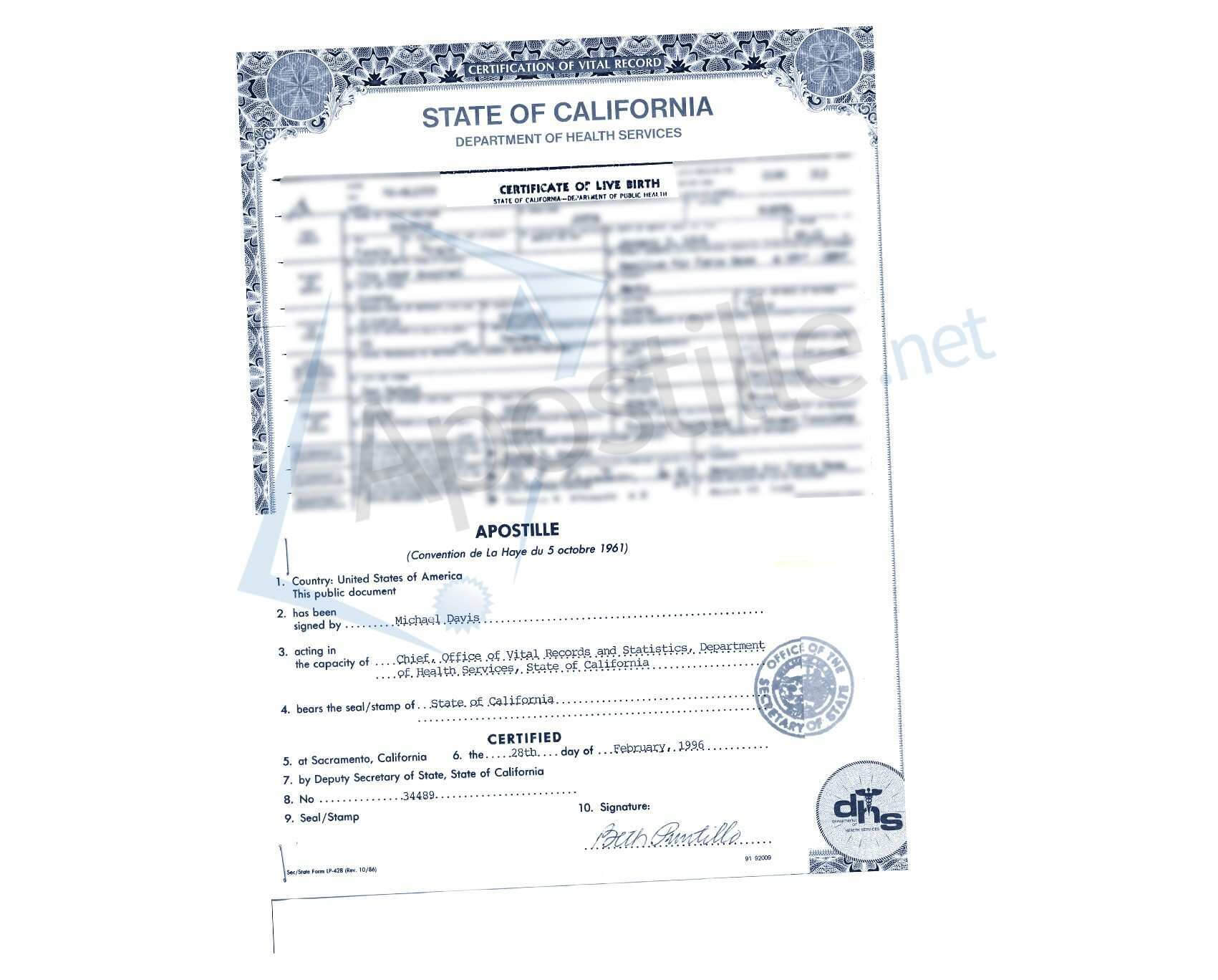 Birth Certificate Template Bd With Maker For Fun Plus Free In Birth Certificate Fake Template
