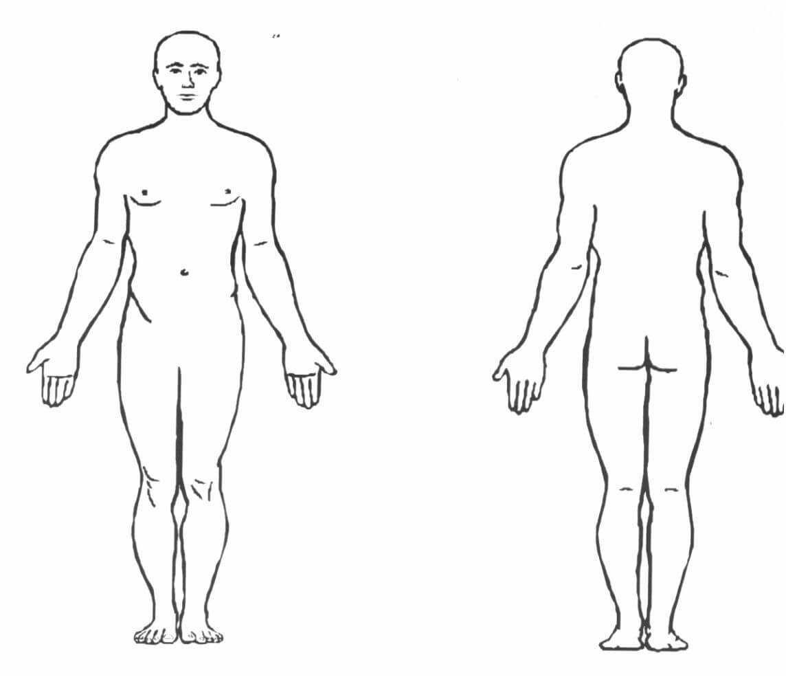 Blank Body Diagram – Technical Diagrams Throughout Blank Body Map Template