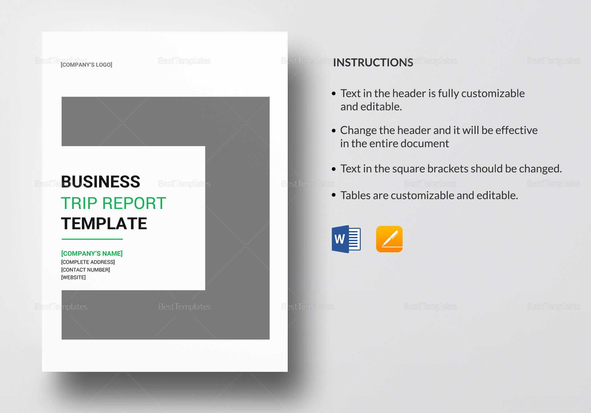 Business Trip Report Template With Business Trip Report Template