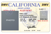 California Drivers License Template | California In 2019 within Blank Drivers License Template