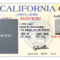 California Drivers License Template | California In 2019 within Blank Drivers License Template