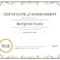 Certificate Of Achievement inside Certificate Of Attainment Template