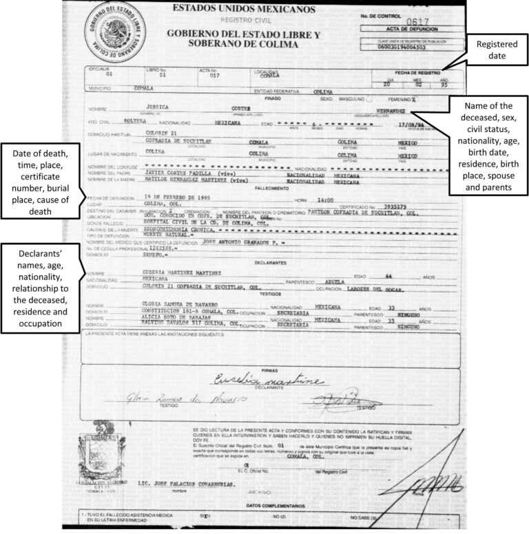 Marriage Certificate Translation Template