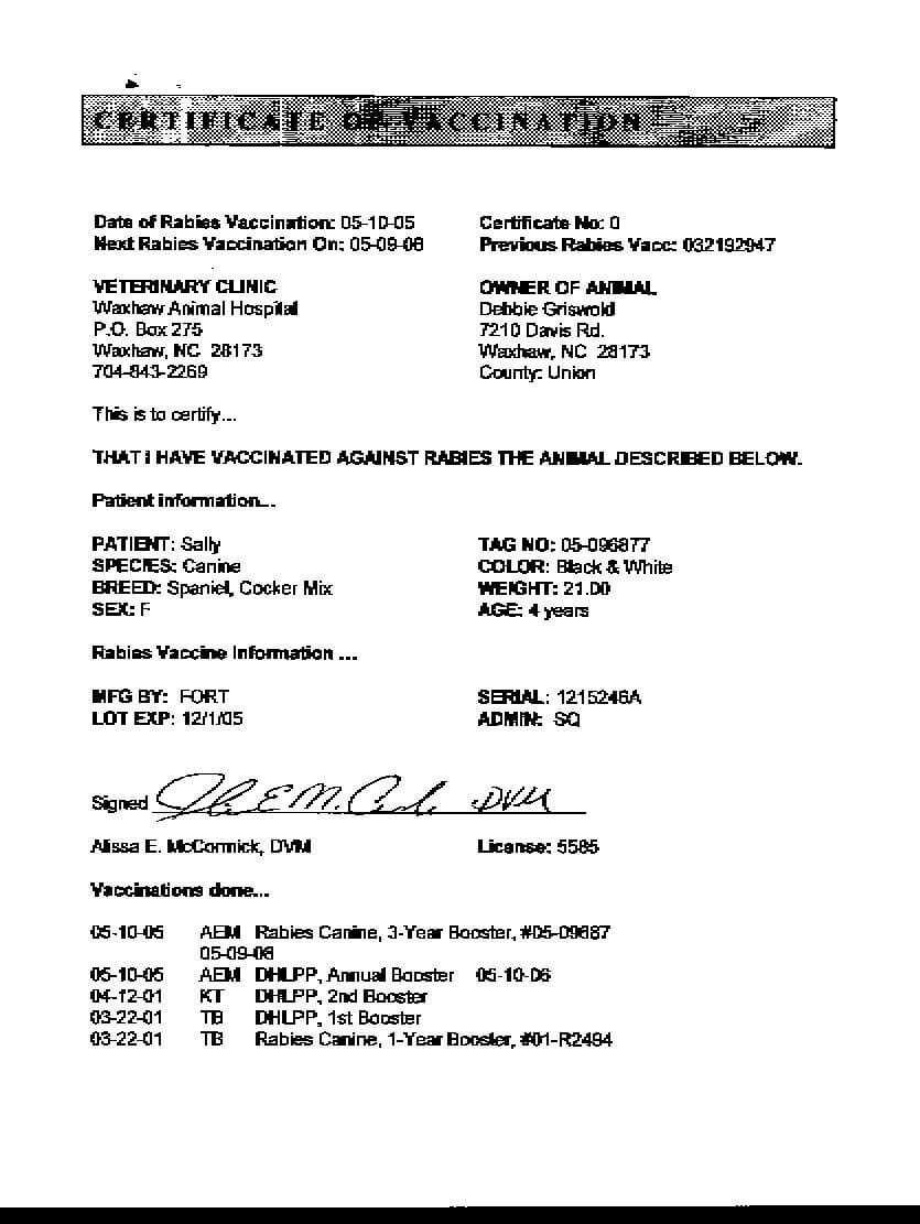 Certificates: Extraordinary Rabies Vaccine Certificate For Certificate Of Vaccination Template