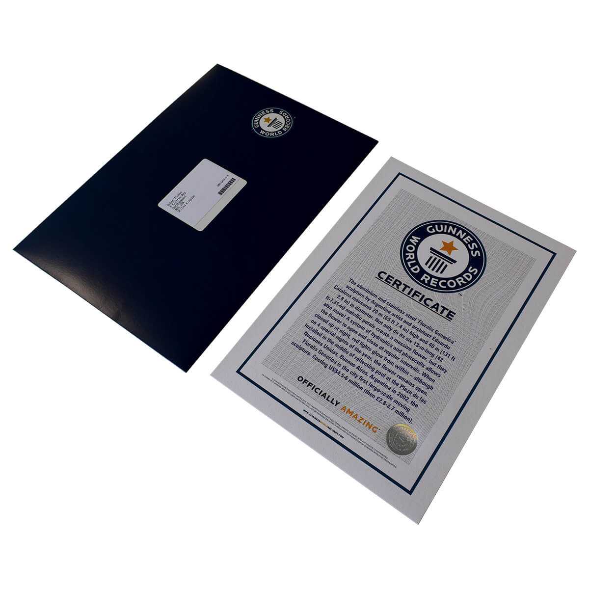 Certificates In Guinness World Record Certificate Template