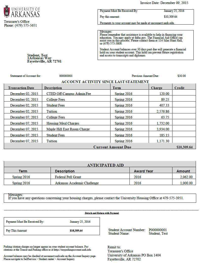 Credit Card Statement Example Pdf And Credit Card Statement Throughout Credit Card Statement Template