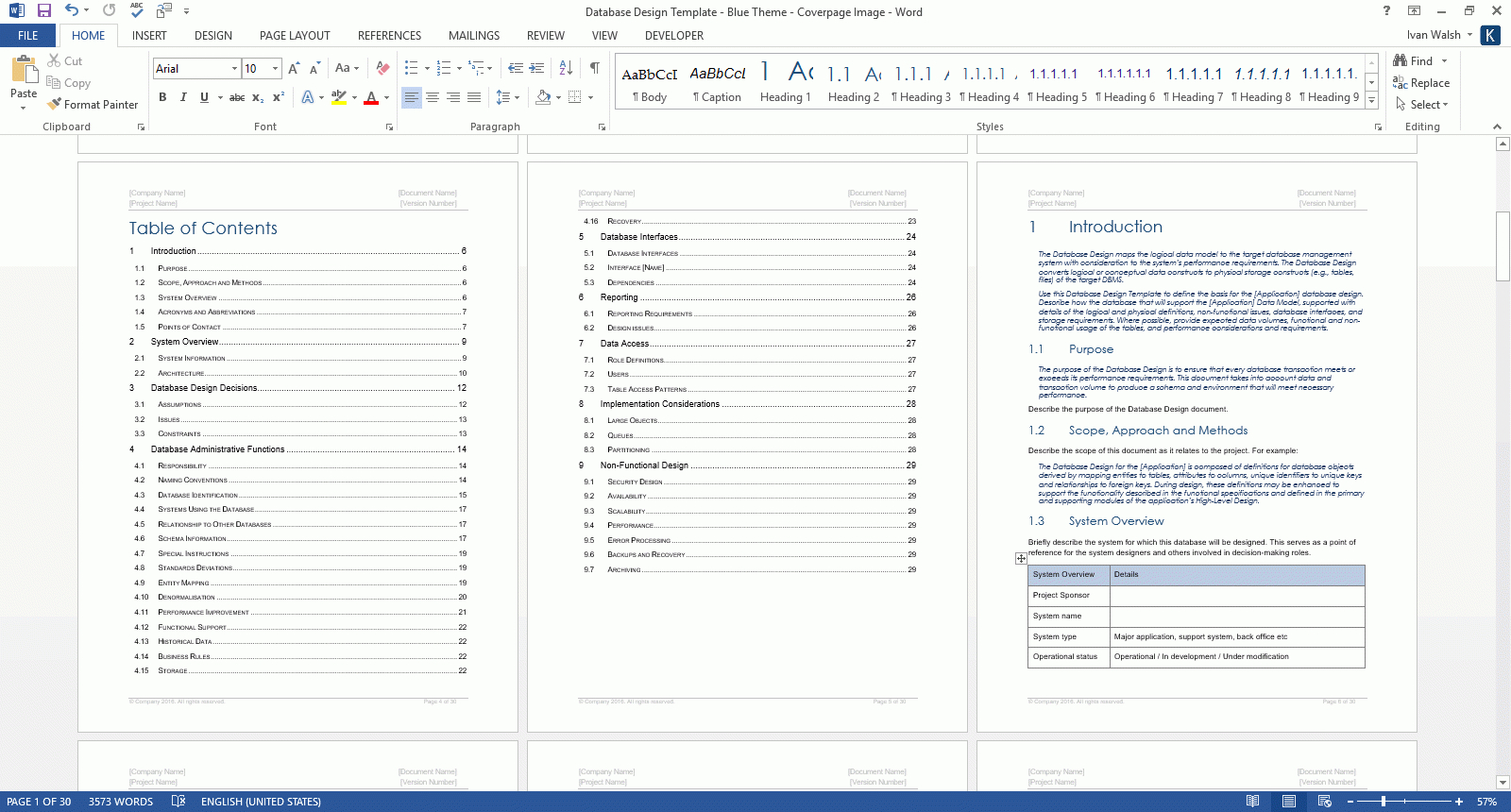 Database Design Document (Ms Word Template + Ms Excel Data For Information Mapping Word Template