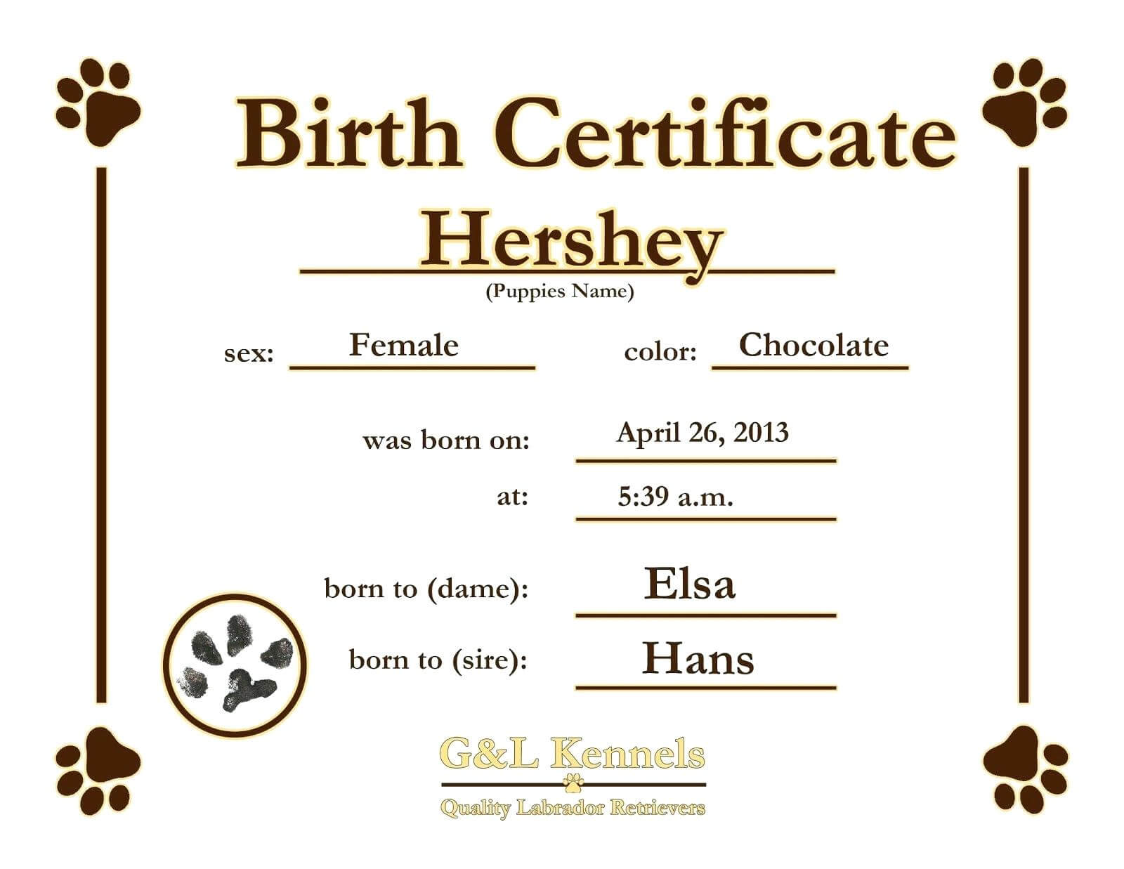 Dog Birth Certificate Free Template In Birth Certificate Templates For Word