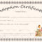 Doll Adoption Certificate Template throughout Blank Adoption Certificate Template