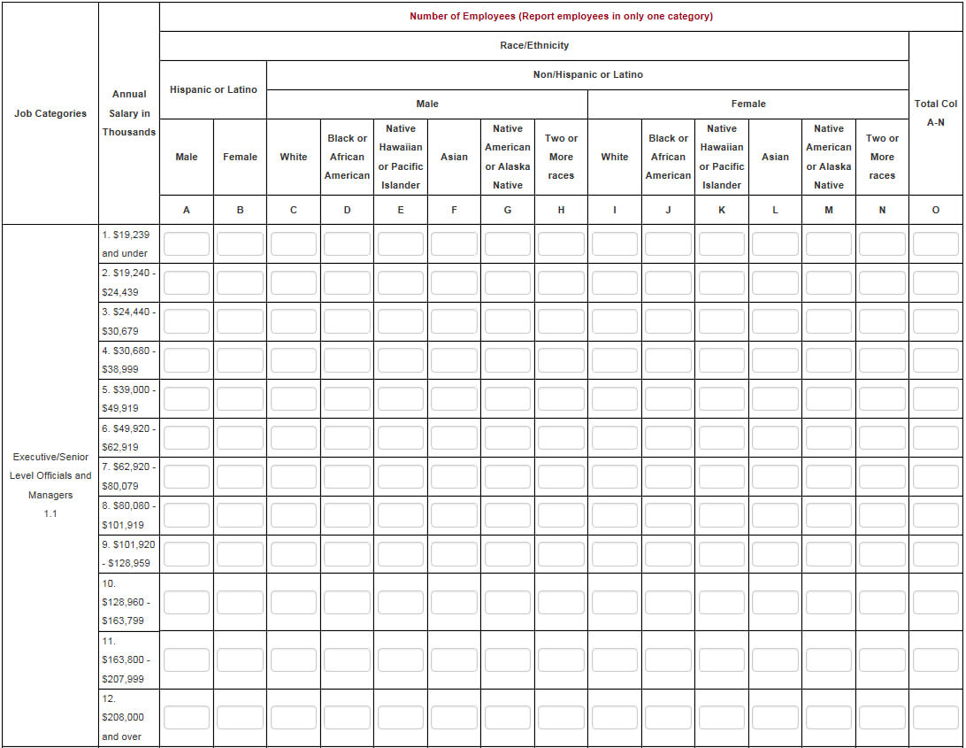 Eeo 1 Report Template – Atlantaauctionco Inside Eeo 1 Report Template