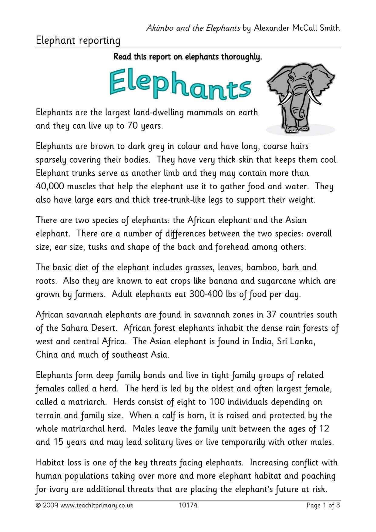 Elephant Report Writing With Report Writing Template Ks1