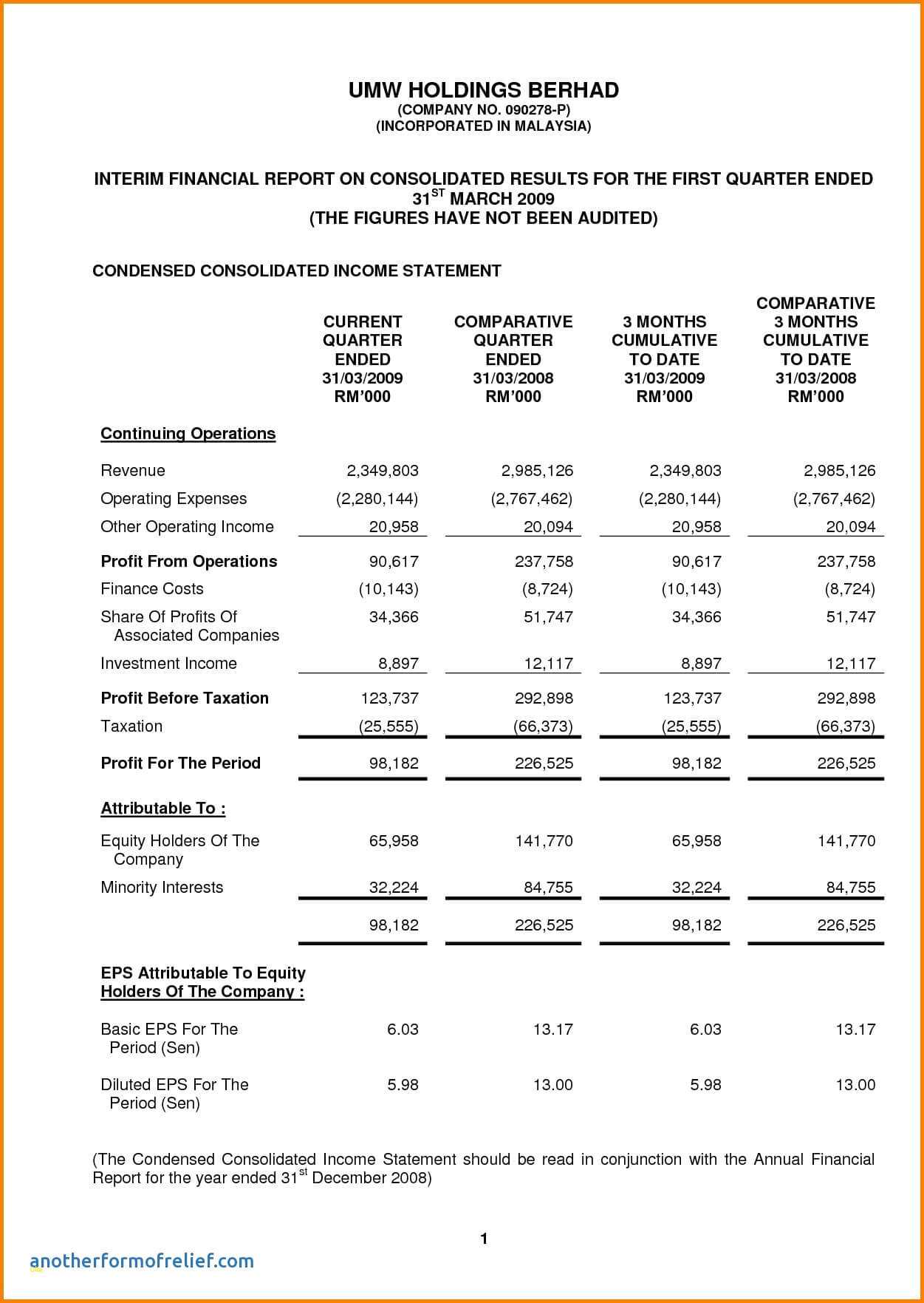 Example Financial Statements For Nonprofit Organizations Within Non Profit Treasurer Report Template