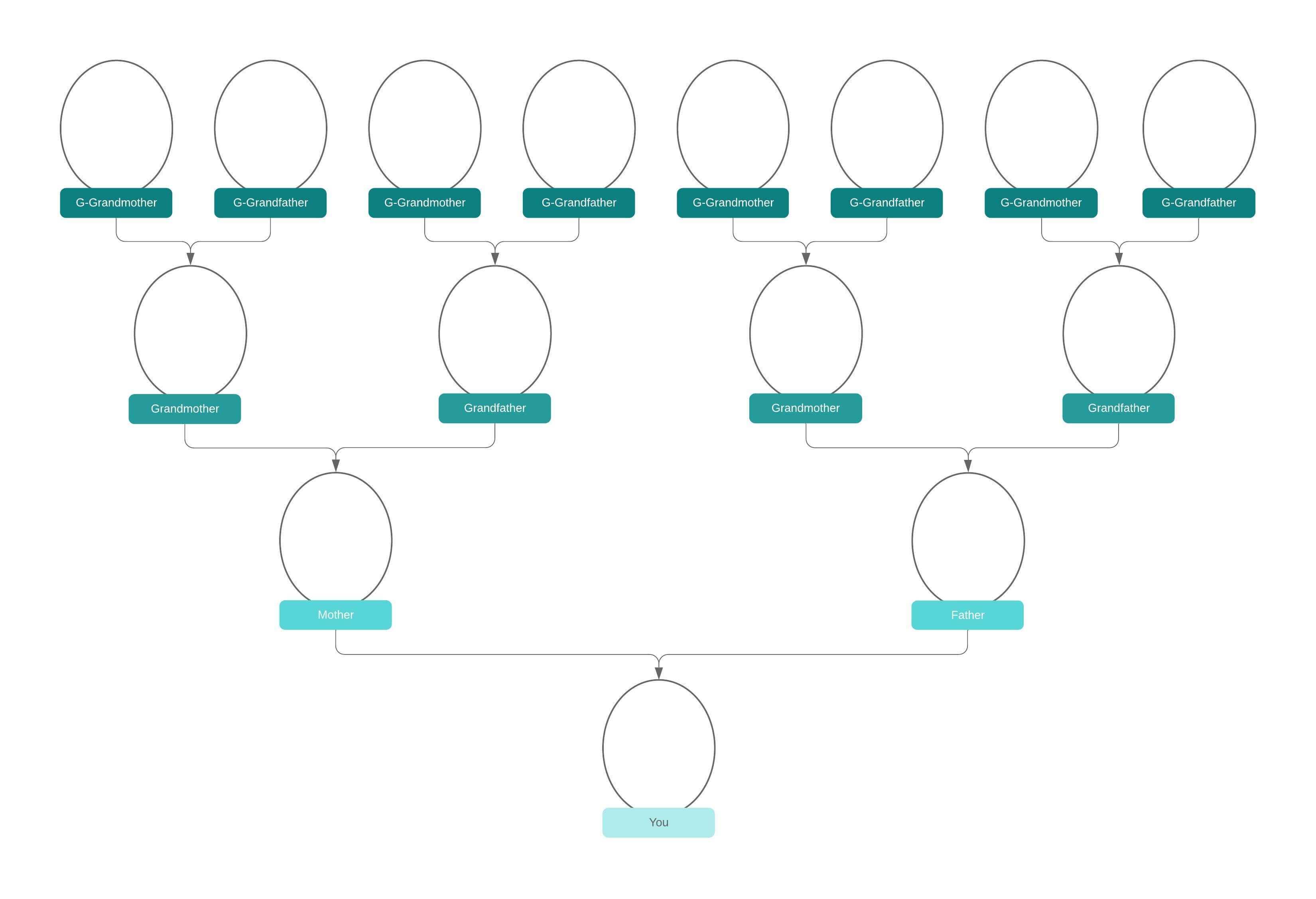 Family Tree Generator | Lucidchart With Blank Tree Diagram Template