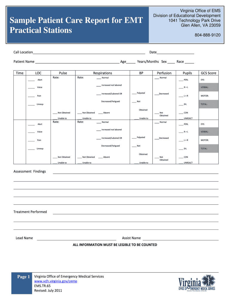 Fillable Online Vdh Virginia Sample Patient Care Report For For Patient Care Report Template