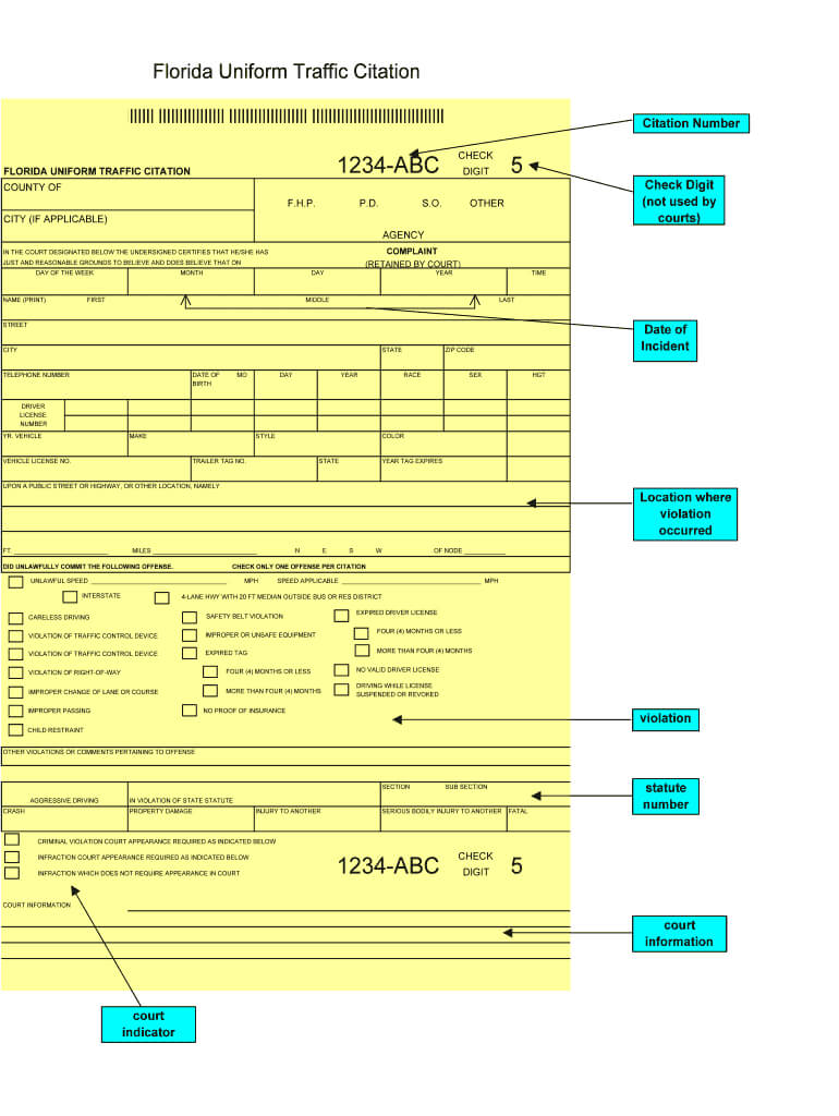 Fillable Traffic Citations – Fill Online, Printable Regarding Blank Speeding Ticket Template