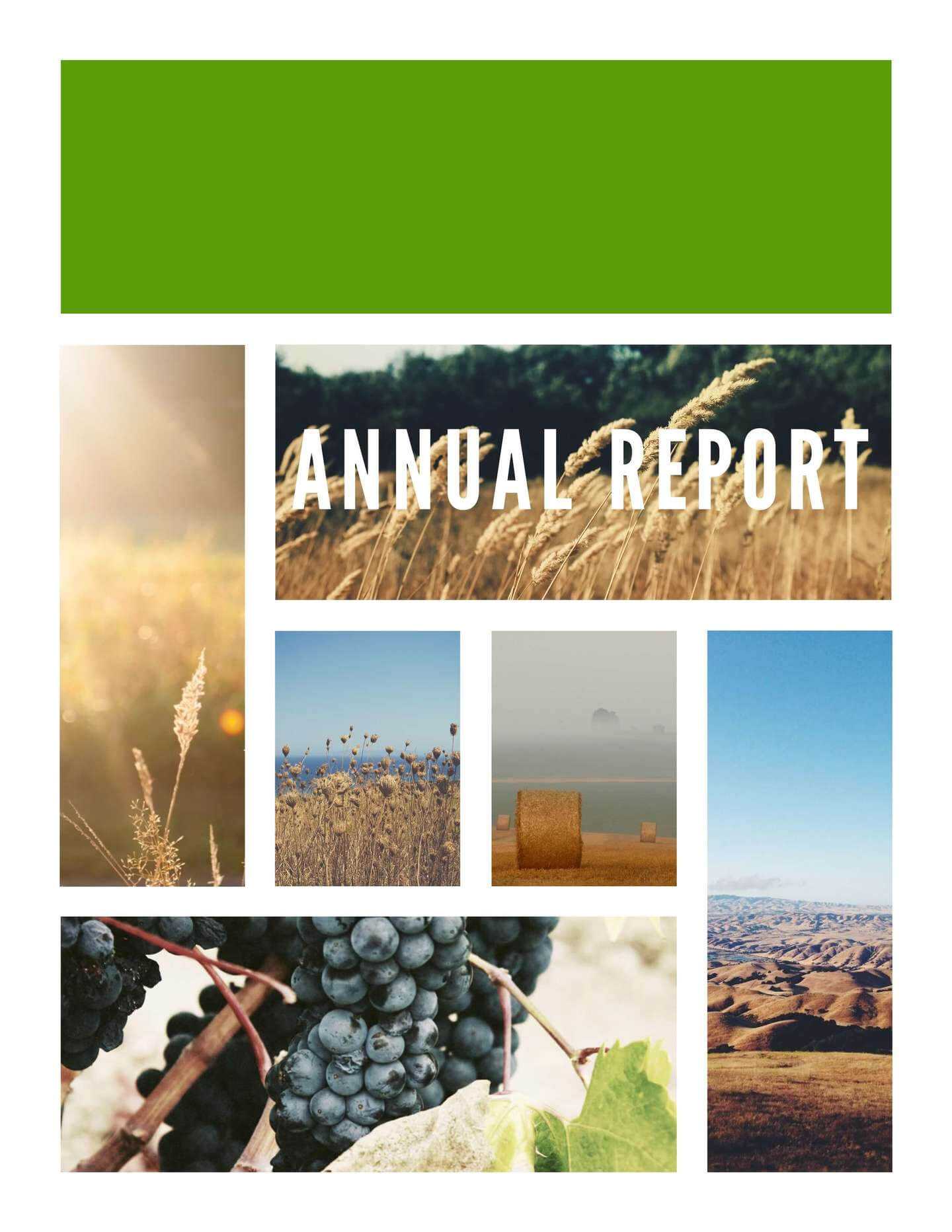 Free Annual Report Templates & Examples [6 Free Templates] Pertaining To Annual Report Template Word Free Download