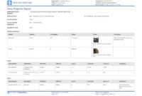 Free Construction Daily Report Template (Better Than Pdf with Site Progress Report Template