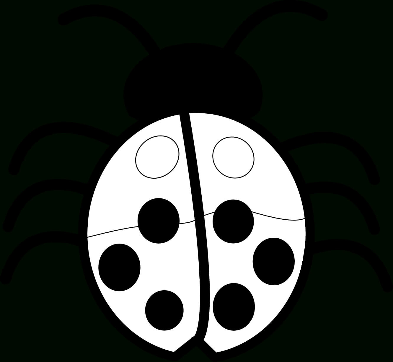 Free Ladybug Outline, Download Free Clip Art, Free Clip Art Inside Blank Ladybug Template