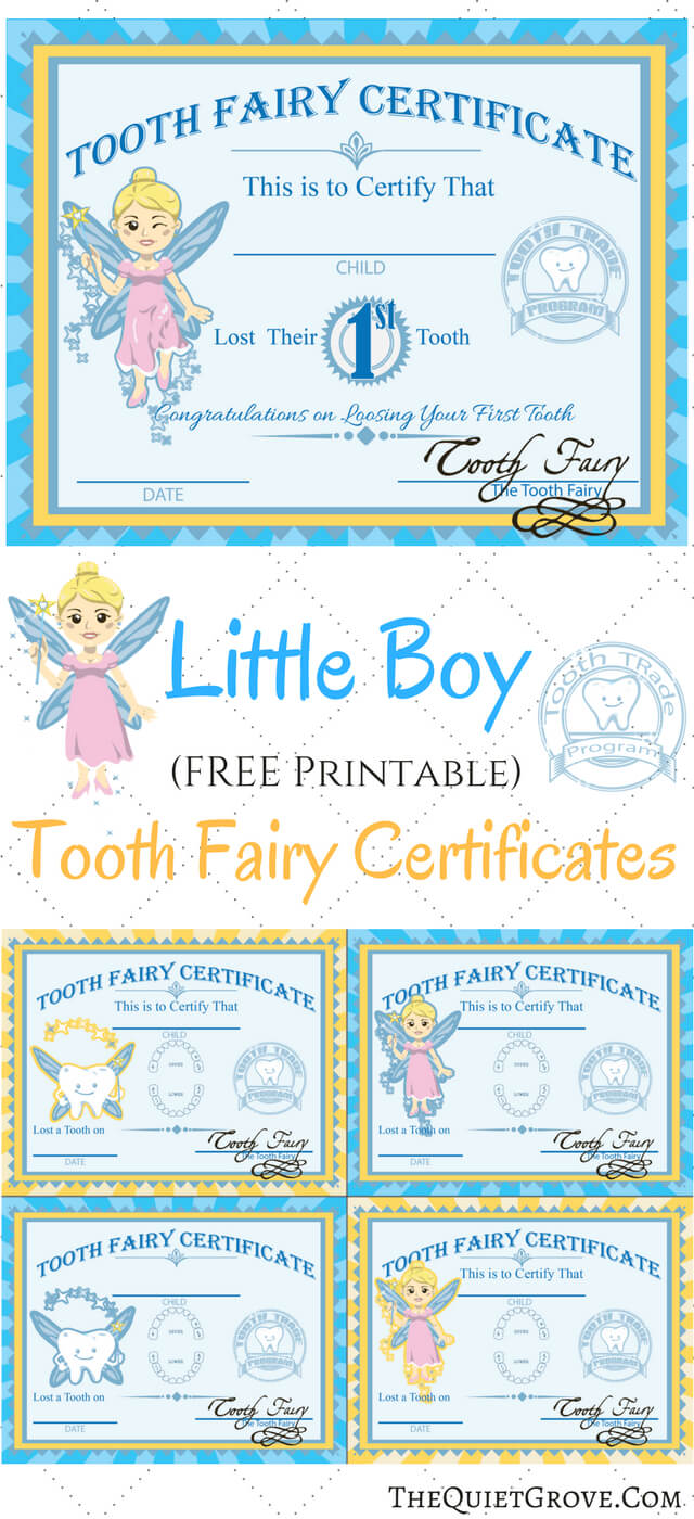 Free Printable Tooth Fairy Certificates | Tooth Fairy For Free Tooth Fairy Certificate Template