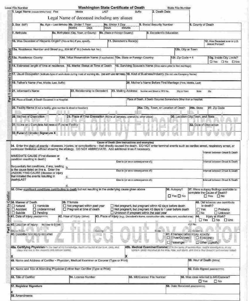 German Death Certificate Template | Free Download Template Within Baby Death Certificate Template