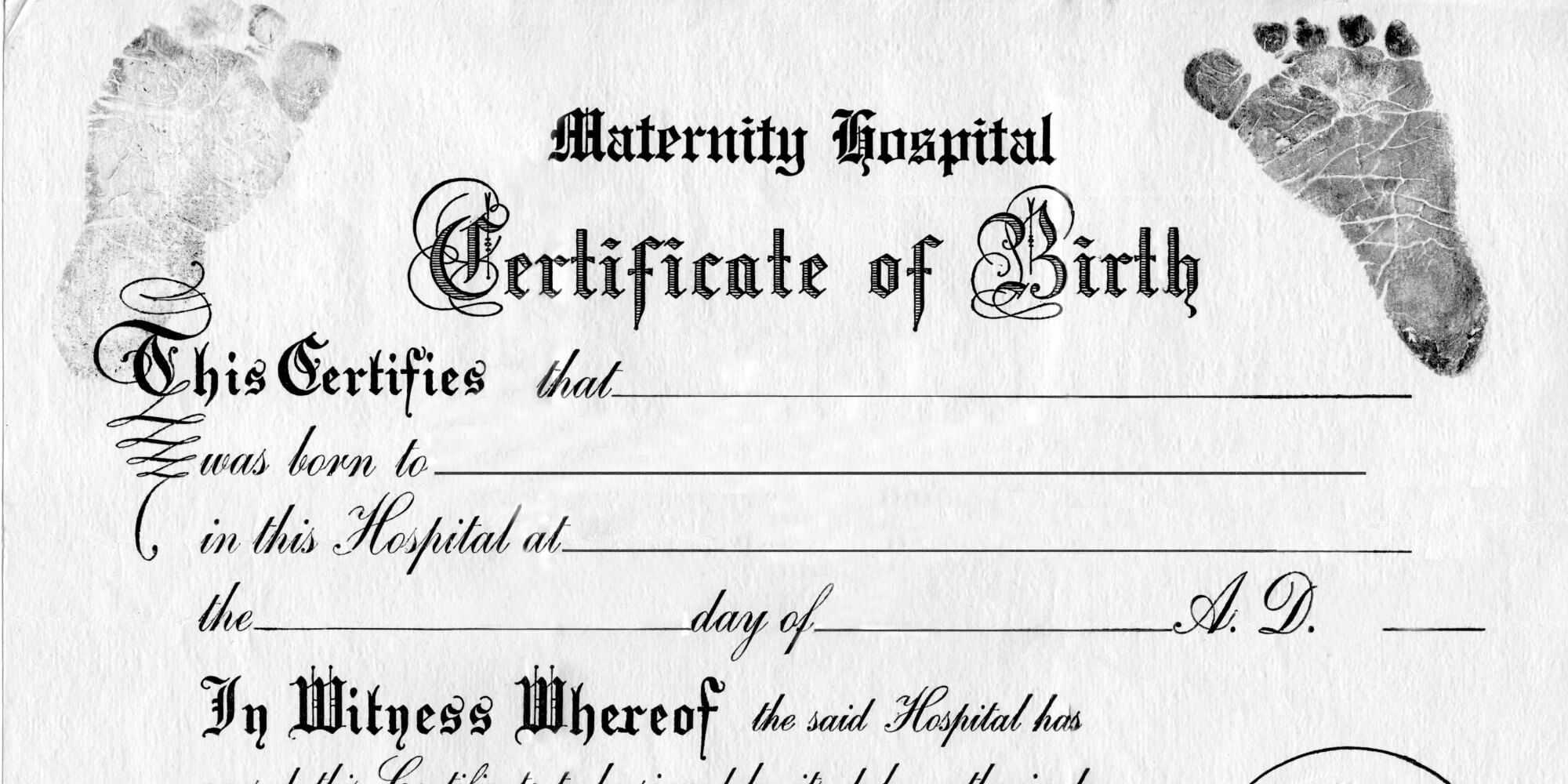 Great For Teddy Bear And Baby Doll Birth Certificates Free Within Editable Birth Certificate Template