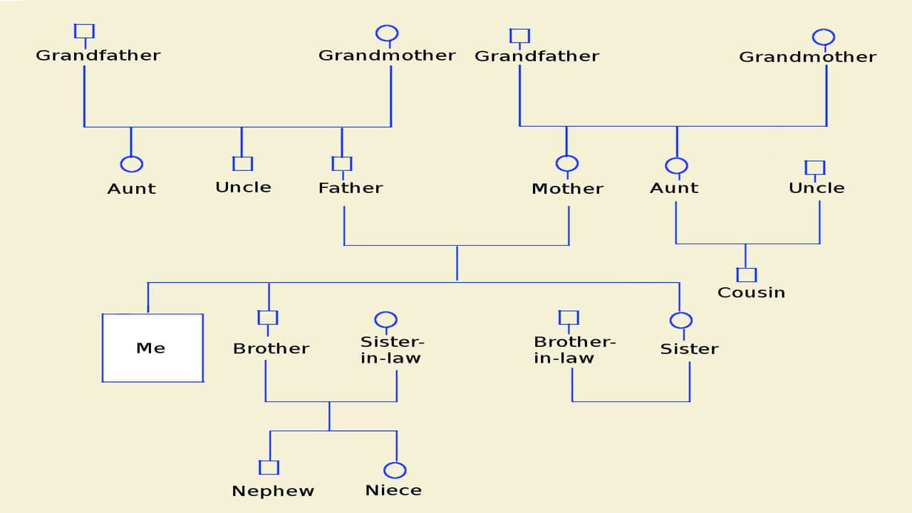 How To Make A Genogram Using Microsoft Word With Regard To Genogram Template For Word
