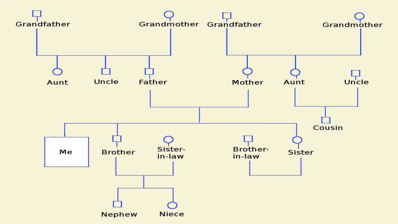 How To Make A Genogram Using Microsoft Word With Regard To Genogram Template For Word