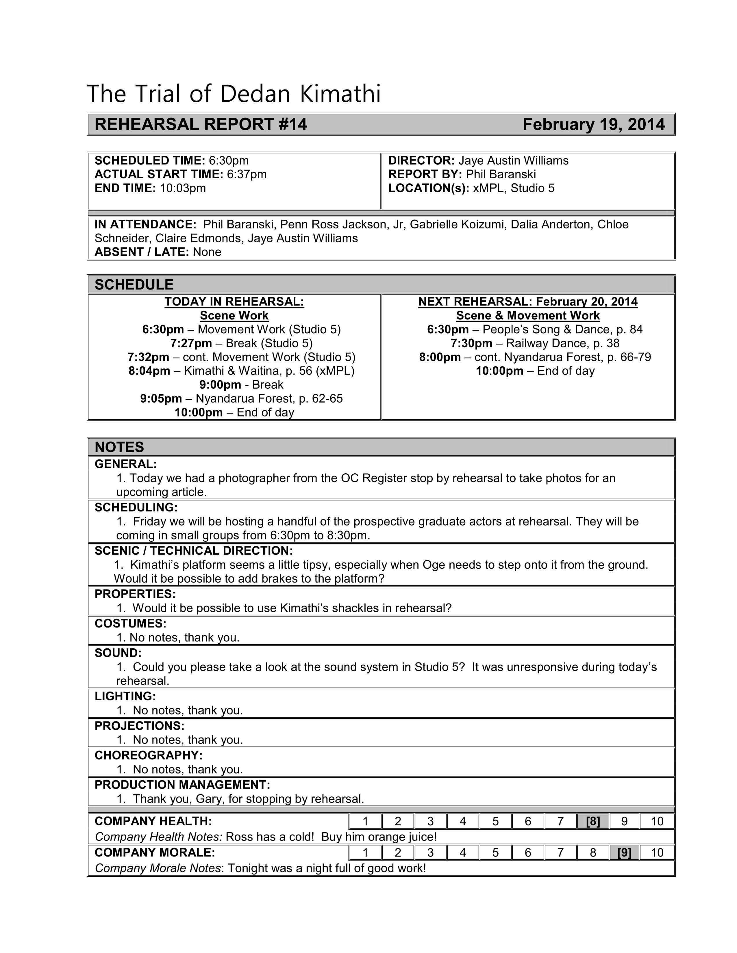 Rehearsal Report Template