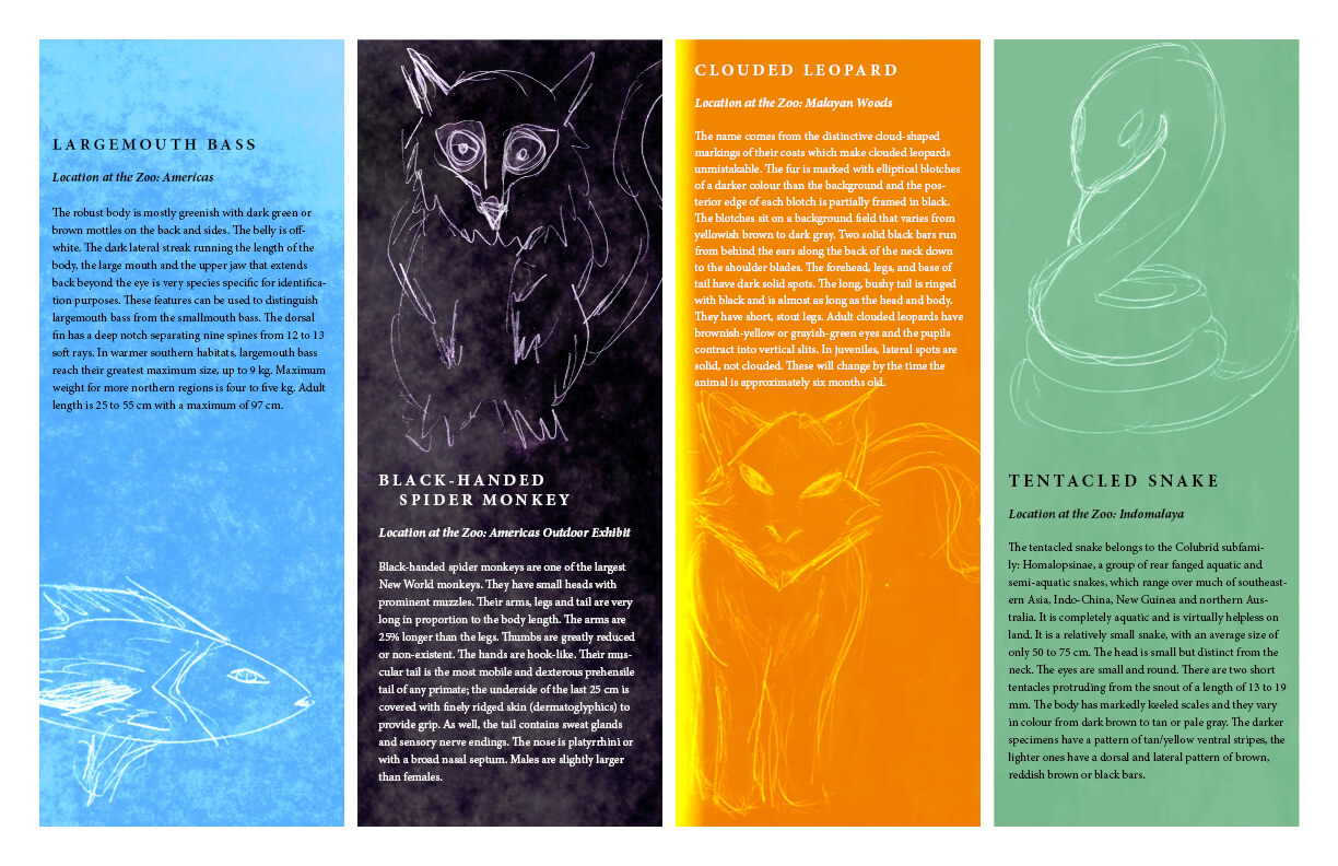 Indesign Projects | Timothy Rose Regarding Zoo Brochure Template